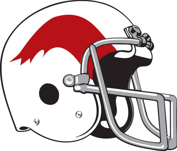 montreal alouettes 1960-1969 helmet logo DTF transfer for t shirt